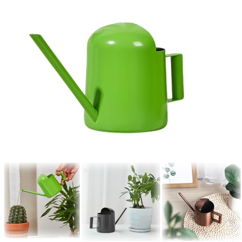 Watering Can for Indoor Plants, Small Watering Cans Sprinkling Pot for Greenhouse Garden Flower Plants, Stainless Steel Long Spout Water Can for Outdoor Watering Plants, 300ML/0.08 Gallon (Green) - color: Green
