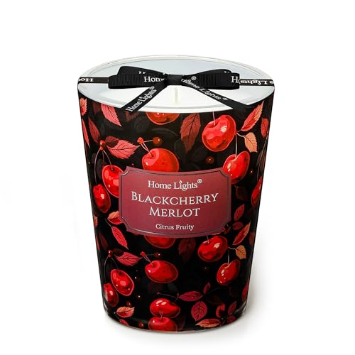 HomeLights Soy Wax Candles for Home Scented, 1-Wick Candles in Blackcherry Merlot Scented, Aromatherapy Candles Gift for Parties, Relaxing, Eclectic Mixed Styles, 6.7oz - color: Blackcherry Merlot