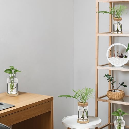 Layhit 4 Pcs Plants Propagation Stations vases Glass Planters with Wooden Lid and Bamboo Stand for Hydroponic Plants Gardening Gifts for Women Mom Home Office Tabletop Decoration(Wide Mouth Style) - style: Beautiful Home Decorations