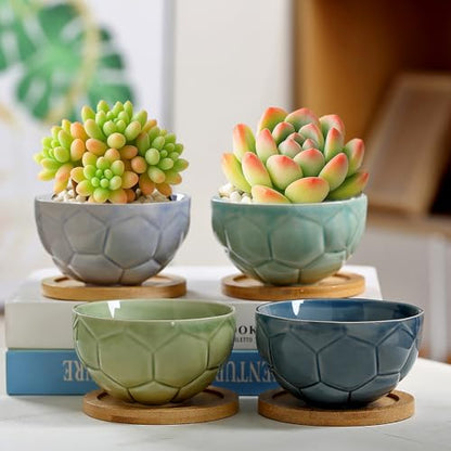 YYW Ceramic Succulent Planter, 4 Pack Cute Garden Pots with Drainage and Attached Saucer - color: Light Ceramics