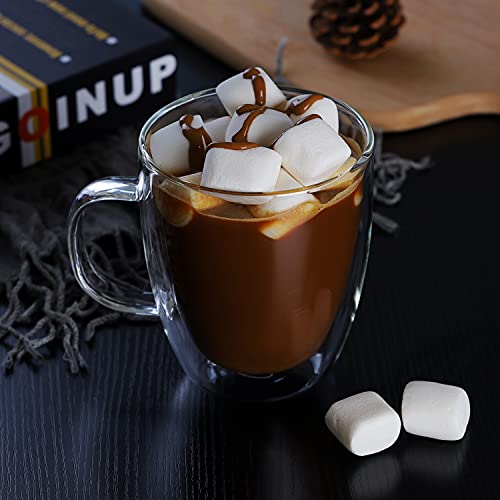 CNGLASS Large Double Wall Glass Coffee Mug 17 oz,Insulated Glass Coffee Cups with Handle,Set of 2 - size: 17oz