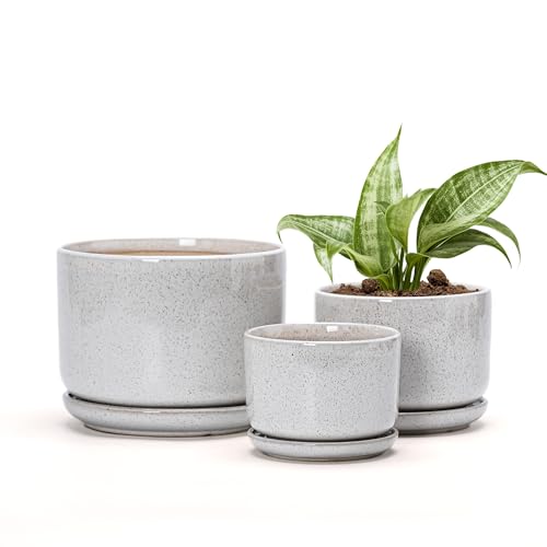 Ceramic Planters,Plant Pots with Saucers Set of 3(Reactive Glaze White) | Colorful Ceramic Planters for Indoor Plants | Medium Plant Pots | Cute Herb Planting Pots | 4+5+6.5 Inch Garden Pots - color: Speck