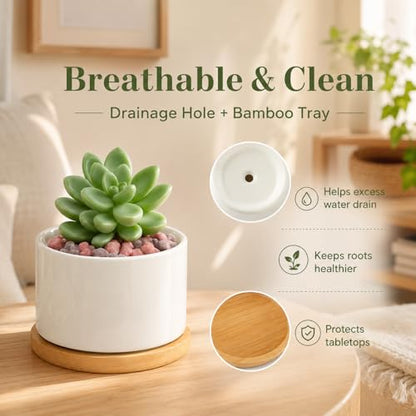 ZOUTOG 12 Pack Ceramic Succulent Pots,3.6 Inch Plant Pots,Succulent Planters with Drainage Hole & Bamboo Tray for Indoor Plants,White Small Flower Planters for Home,Office,Desk - size: 12 pack