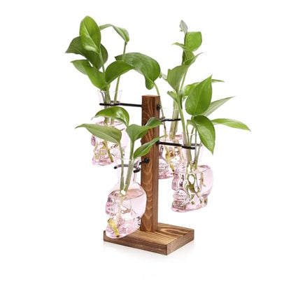 Plants Propagation Stations Skull Glass Propagation Birthday Gift for Women | Garden Plant Lovers - 4 Skull - color: Pink