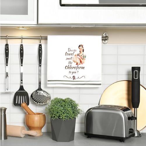 Funny Kitchen Towels， Funny Dish Towels for Women, Retro Sarcastic Hand Towels for Kitchen & Bathroom, Best Housewarming Gifts for Women Mom Hostess(16×24 Inches Set of 2) - color: Womeninteresting Women