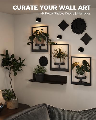 Bamworld Hanging Planters for Indoor Plants Wall Decor Living Room Light | Plant Stand Indoor Wall Planters Plant Hanger Window Plant Shelves 3-Packs with Lights