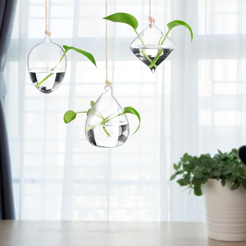 Zopeal 6 Set Wall Hanging Glass Planter Terrarium Propagation Station Vase Container Watering Squeeze Bottle with Rope and Hook for Hydroponic Plants Flower Home Decor Gifts (Classic Style)