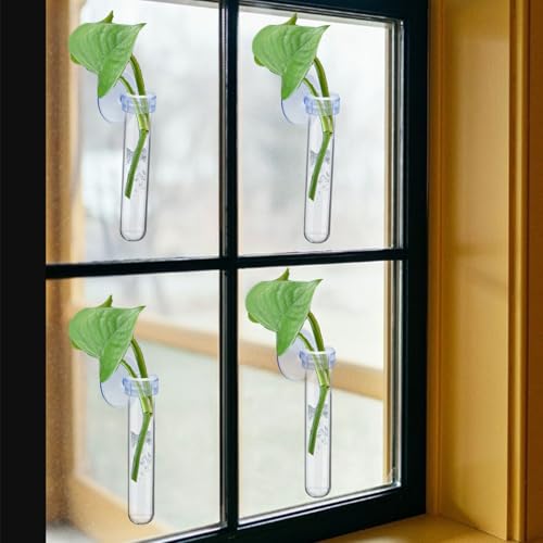6 PCS Window Propagation Stations, Clear Plastic Plant Propagation Tubes with Suction Cups, Wall Hanging Terrarium Water Plant Holders for Home & Office Decor, Easy to Install