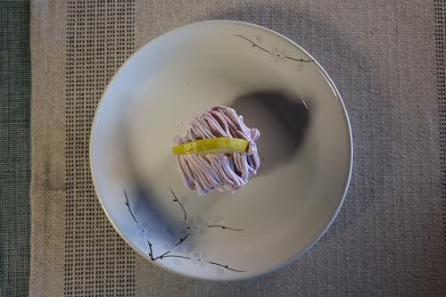 8 Inch Ceramic Pasta Bowls Salad Bowls Large Ceramic Serving Bowls for Soup, Dessert, Shallow Bowls Plates for Dinner (4Pack, White Sakura) - color: White Sakura