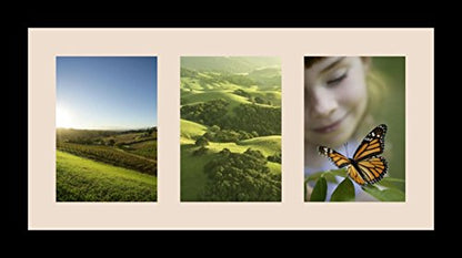 ArtToFrames Collage Photo Frame Single Mat with 3-5x7 Openings with Satin Black Frame and Alabaster mat. - color: 3 - 5x7 - (2157), size: Alabaster