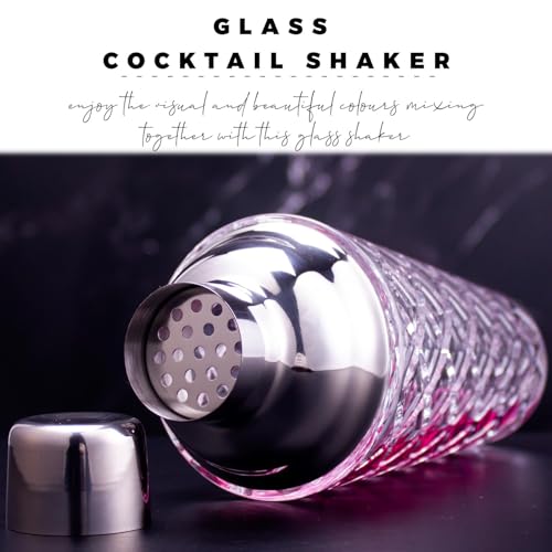 Cocktail Shaker Set, 14.2oz Glass Martini Shaker with Strainer - Includes Measuring Jigger, Mixing Spoon and Muddler - Perfect for Making Cocktails and Protein Shakes (Silver) - color: Silver Set