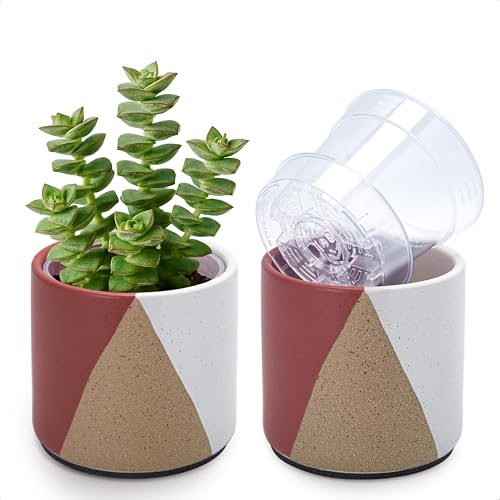 D'vine Dev 2-Pack Cachepot with Clear Pot, 4.5 in, Crimson Dune, 93-V-B-4 | Dual-Pot System, Root Visibility, Bottom Watering Support, Enhanced Drainage, Artistic Stoneware Design, Easy Plant Care - color: Crimson Dune, size: 4.5” Cachepot + 4“ Clear Grow