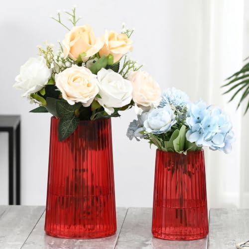 Ribbed Flower Vases Set of 2, Red Vases for Flowers, Flower Vase for Bouquet, Modern Ribbed Glass Vase for Living Room, Bedroom, Dining Table, Office, Wedding, Centerpieces - color: Red, size: Large+Medium