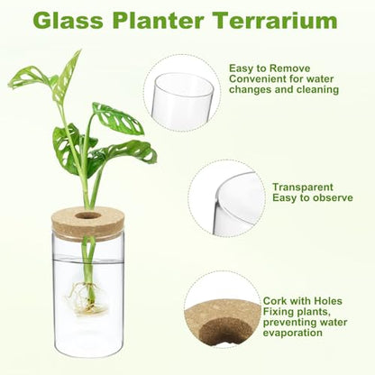 M METERXITY 1 Pack Glass Planter Terrarium with Wooden Cover, Desktop Plant Propagation Station Clear Vase for Hydroponic Plants Propagation/Home Garden Decor/Plant Lover [3.35'' x 5.91''] - size: 3.35'' x 5.91''