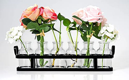 6pc Glass Flower Vase with Metal Holder, Best Vases Set for Home & Table Decor Flowers, Wedding Decorations, Kitchen, Bathroom, Bedroom, Modern Shelf Decor, Terrarium Arrangement