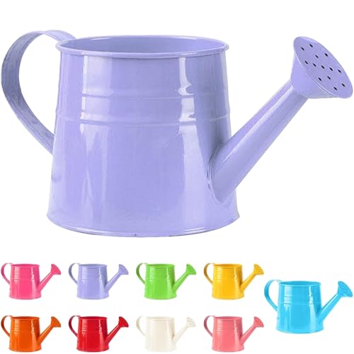 Tinplate Watering Kettle 1L, Mini Metal Watering Can with Long Spout and Handle, Vintage Flower Sprinkling Can for Indoor Plants, Patio and Garden Use (Purple-B04) - color: Purple-b04
