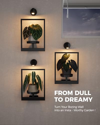 Bamworld Hanging Planters for Indoor Plants Wall Decor Living Room Light | Plant Stand Indoor Wall Planters Plant Hanger Window Plant Shelves 3-Packs with Lights