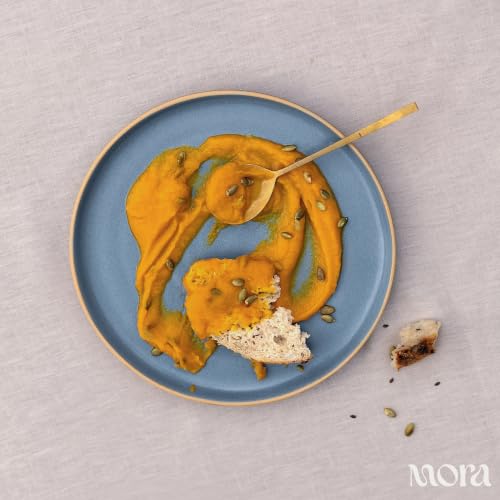 MORA Medium Plates Set of 4, 8.5 inch Ceramic Pottery Salad Plates - Microwave, Oven and Dishwasher Safe - Sky - color: Sky