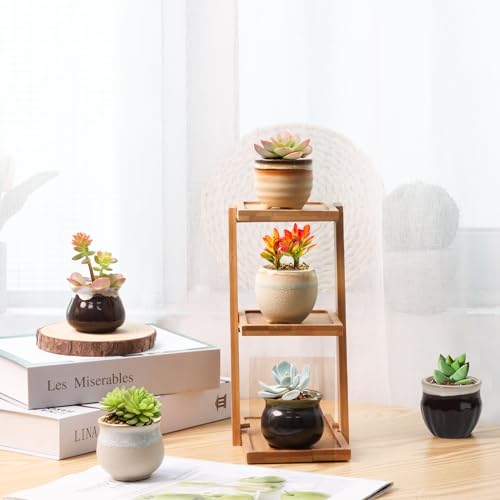 T4U Small Ceramic Succulent Pots with Drainage - Set of 12, Mini Pots for Plants, Home and Office Decor, Plant Lover Gifts for Women | Planters with Drainage, for live cactus plants, bonsai starter pots, indoor windowsill decor, office desk top accents -