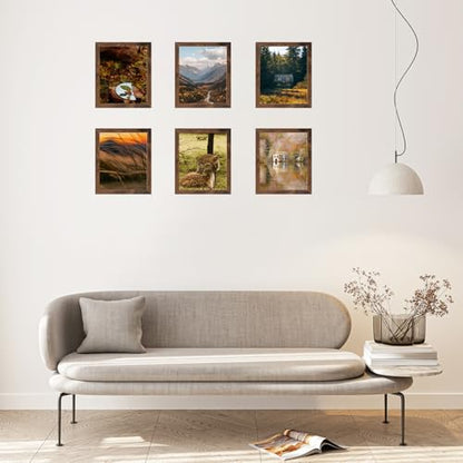9x11 Picture Frame Deep Brown for Wall Hanging, Wood 9 x 11 Frame Photo Frame for Wall Horizontally or Vertically, Deep Brown, 3 Pack - size: 9x11 inch