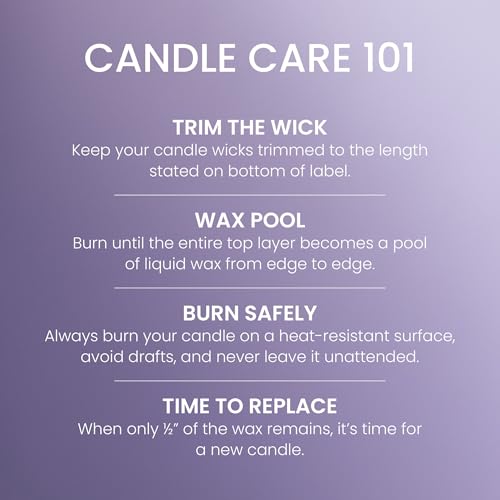 Yankee Candle Lemon Lavender Scented Candle, 22oz Large Jar with up to 150 Hour Burn Time, Giftable, Birthdays (Pack of 4) - color: Lemon Lavender, size: Large Jar (Pack of 4)