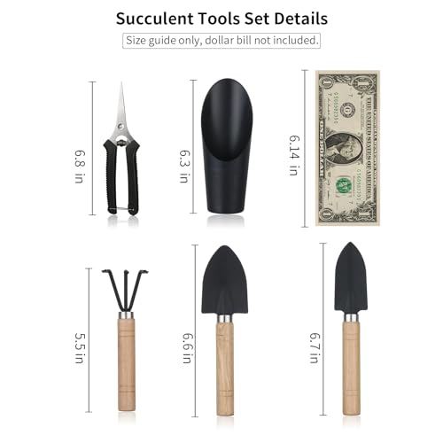 5 Pcs Succulent Tools, Mini Garden Tools, Small Indoor Plant Repotting Set | Pruning Scissors as Plant Accessories, Gardening Hand Tools Kit for Seedling Soil,Caring Succulent,Houseplant,Bonsai - style: Luxury Garden Tools