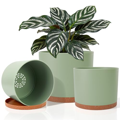 3 Pack Cylinder Planter Set 10/9/8 Inch White Indoor Plant Pots | Modern flower pots with drainage holes and saucers. For outdoor garden, succulent, nursery, and house plants. - color: Green-brown