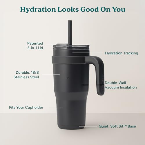 REDUCE 24 oz Stainless Steel Tumbler with Handle - Dual-Wall Vacuum Insulated Travel Mug, Sweat-Proof Lid & Reusable Straw - Keeps Drinks Cold for 24 Hrs, Fits Cupholders, Dishwasher Safe - Phantom - color: Phantom, size: 24 Ounces