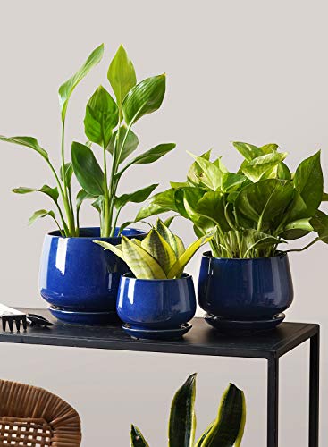 LE TAUCI Plant Pots, 4.1+5.1+6.5 inch, Set of 3, Ceramic Planters with Drainage Hole and Saucer, Indoor Flower Pot with Hole Mesh Pad, Gifts for Mom, Sapphire Blue - color: Sapphire Blue