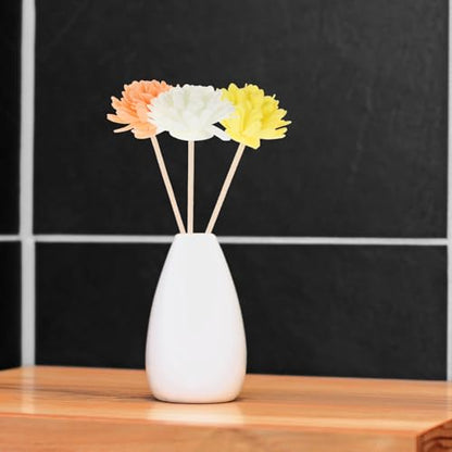 Didiseaon 12Pcs Dried Flower Diffuser Sticks Refill Flower Reed Diffuser Sticks Replacement Reeds for Essential Oil Bottles Aromatherapy Home Fragrance Decorative Sticks