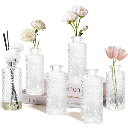Bud Vase, Flower Bottle, Small Vase, Set of 6, Glass, Simple, White Transparent, Classy for Mother's Day, Anniversary, Wedding, Home Decoration - color: White(transparent)