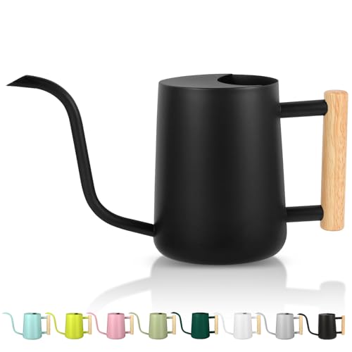 GUKJOB Plant Watering Can,35oz Metal Watering Can,Stainless Steel Indoor Plants with Long Curved Spout,Small Bonsai Outdoor Garden Modern Decorative(Black) - color: Black