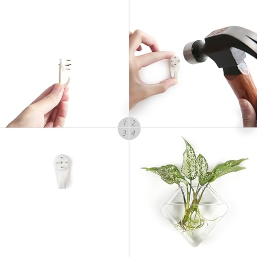 Mkono Wall Planter Hanging Propagation Stations Flower Vase Glass Pots Holder for Hydroponic Plants, Indoor Home Office Living Room Bathroom Decor Gifts, 3 Pack