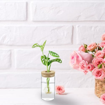 M METERXITY 1 Pack Glass Planter Terrarium with Wooden Cover, Desktop Plant Propagation Station Clear Vase for Hydroponic Plants Propagation/Home Garden Decor/Plant Lover [2.56'' x 4.72''] - size: 2.56'' x 4.72''