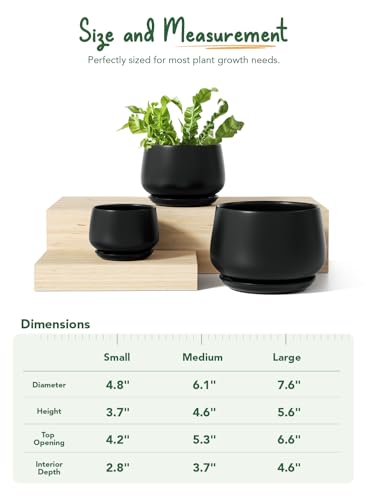 LE TAUCI Plant Pots, 4.1+5.1+6.5 inch, Set of 3, Ceramic Planters with Drainage Hole and Saucer, Indoor Flower Pot with Hole Mesh Pad, Gifts for Mom, Black - color: Black