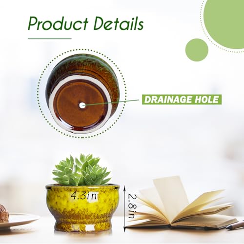 ARTKETTY Succulent Pots, 4.3 Inch Small Plant Pots with Drainage Set of 5 | Ceramic Pots for Indoor Plants Glazed Cactus Flower Planter Container - color: 4.3"-round(5pcs)