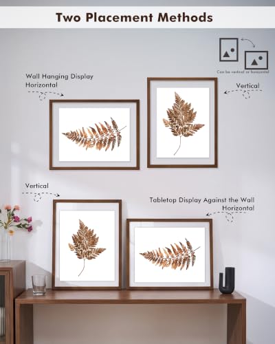 DLQuarts 16x20 Floating Picture Frame for 12x16/11x14 Photos, 2-Pack Solid Wood Double Plexiglass Wall Art Frames, Any Size Photo up to 16x20 Display, Black Walnut - color: Black Walnut, size: 16x20