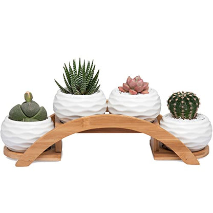 E-liu Eliu Cute Small Ceramic Succulent Pots and Stand Set, Pack of 4 | White Succulent Planter Pot with Drainage Fits Well In Windowsills, Office Indoor Decoration, Plants Not Included