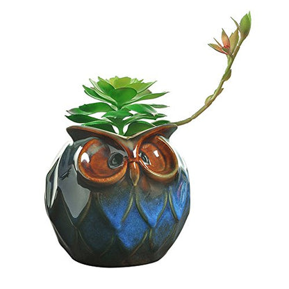 GeLive Blue Owl Ceramic Succulent Planter with Drainage Hole Animal Plant Pot Tabletop Decoration Vase Window Box Indoor Outdoor Decor (Blue) - size: 5.1" Blue