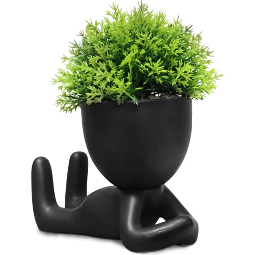 Zerzsy Fake Plants Desk Decor for Women - Cute Artificial Mini Succulent Decorative Plants for Bathroom Bedroom Cubicle Shelf Decoration - Set of 1 - color: Black-h