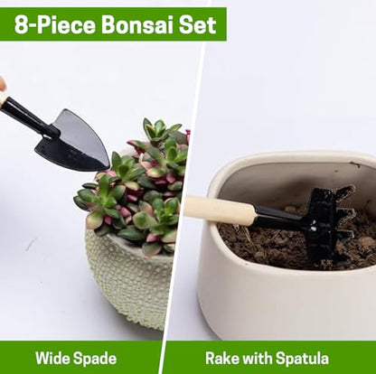 Bonsai Set 8 Pcs, Bonsai Tools Kit, Garden Tools Set | Include Pruner, Fold Scissors, Mini Rake, Bud & Leaf Trimmer Set