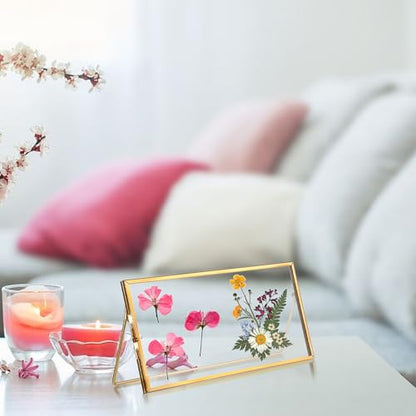 Double-Glass Dried Flower Frame, Brass Floating Frames for Pictures, Pressed Flowers, Leaves, Arts, Stamps, 4x 9 inches Decorative Tabletop Display Holder for Home Plant Specimen (FRAME ONLY)