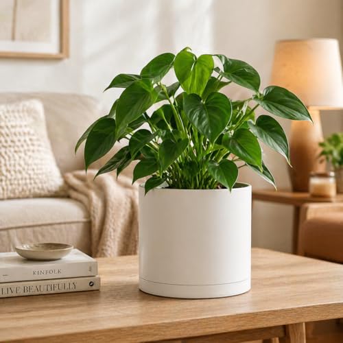 Giraffe Creation 12 Inch Cylinder Plant Pot, Modern Round Planter with Drainage Holes and Saucer, Durable Plastic Flower Pot for Indoor Outdoor Plants, White - color: White 12 Inch