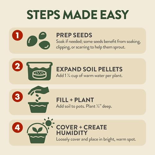 HOME GROWN Bonsai Tree Starter Kit – Unique Christmas Gift for Adults, Men, Women - Grow 4 Bonsais – DIY Crafts Hobby Gardening Kit for Plant Lovers, Mom, Dad - White Elephant Gifts for Adults - style: Starter Bonsai Grow Kit
