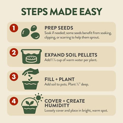 HOME GROWN Bonsai Tree Starter Kit – Unique Christmas Gift for Adults, Men, Women - Grow 4 Bonsais – DIY Crafts Hobby Gardening Kit for Plant Lovers, Mom, Dad - White Elephant Gifts for Adults - style: Starter Bonsai Grow Kit