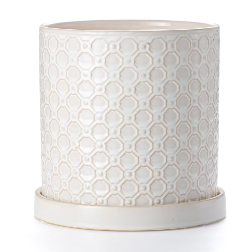 8 Inch Plant Pot: Ceramic Planter with Drainage Hole & Saucer Indoor Outdoor Plants - Cylinder Round Flower Pot for Home Office - Modern Decorative - Medium White