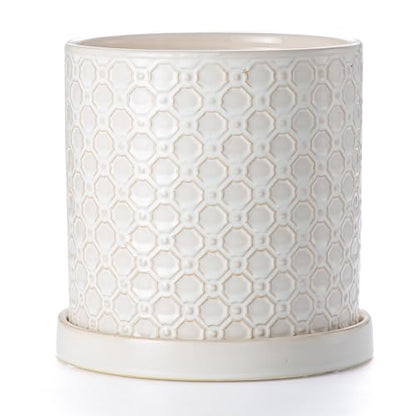 8 Inch Plant Pot: Ceramic Planter with Drainage Hole & Saucer Indoor Outdoor Plants - Cylinder Round Flower Pot for Home Office - Modern Decorative - Medium White