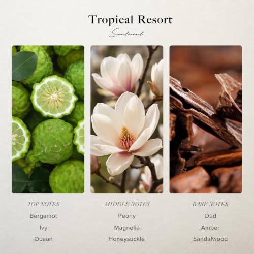 Scentiment Tropical Resort Diffuser Oil - Fragrance Oil Refill - 0.68 fl oz | Premium Hotel Scent with Notes of Bergamot, Magnolia & Oud, hotel-inspired aromatherapy home fragrance oil, for air diffusers - size: 0.68 Fl Oz (Pack of 1)