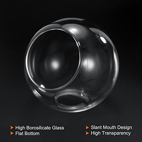 PATIKIL Round Globe Terrarium Air Plant Planter, 4 Inch Clear | High Borosilicate Glass, Table Decorations, for Succulent, Tillandsia - size: 4 Inch