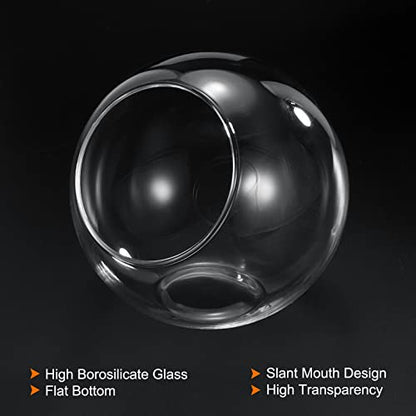 PATIKIL Round Globe Terrarium Air Plant Planter, 4 Inch Clear | High Borosilicate Glass, Table Decorations, for Succulent, Tillandsia - size: 4 Inch